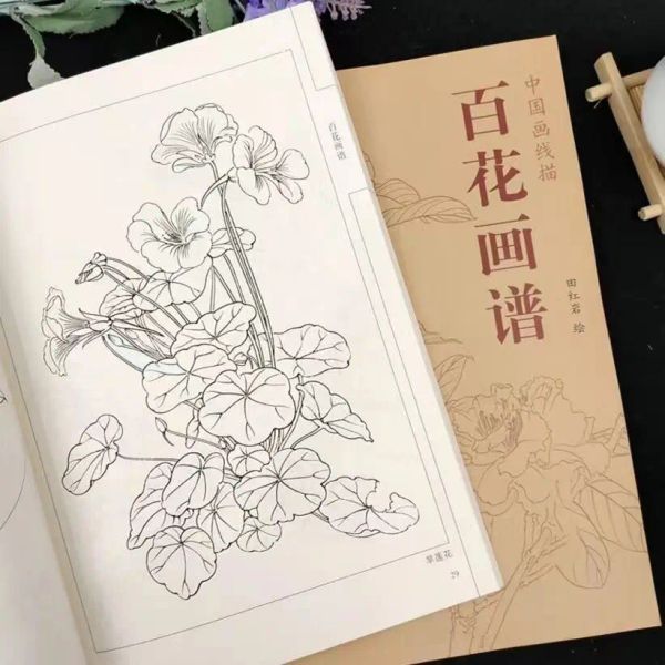 Photographie Chinese Painting Line Drawing Livre couleur crayon centaines de fleurs / oiseaux / lotus / pivoine livre de coloriage motif de gravure pour débutant