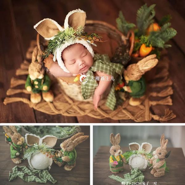 Fotografía Accesorios de fotografía de recién nacidos estilo Country Forest Straw Bunny Sat Juego