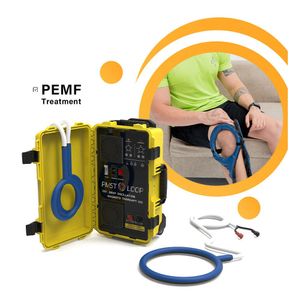 Physio Magneto PEMF Machine Équipement de physiothérapie Boucle PMST pour la guérison des os, la réadaptation, les blessures sportives, le soulagement de la douleur chez les humains et les animaux domestiques