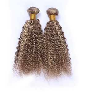 Piano 8613 Couleur mixte Peruvien Vierge Human Human 3PCS CULINE CURLY BRORN LIGHT HAISS