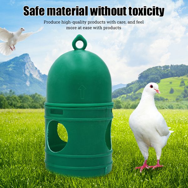 Pigeons Feeder Water Pot 1L Plastic Pet Pet Disenser Dispener Continier Automatique Pot Pot Conteneur Bouteille Pour Birds Supplies