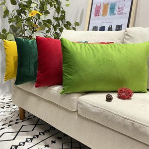 Kussen 30x50cm Apple Green Home Decoratieve hoes voor woonkamer Luxe fluweel kussens met kern