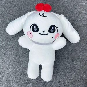 Oreiller 40cm kpop ive peluche de cerise minive kawaii en peluche de poupée