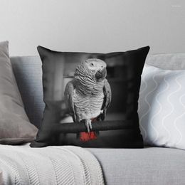 Oreiller Africain Grey Parrot Pographe Throw Cas de Noël Couverture élastique pour les couvertures décoratives du canapé