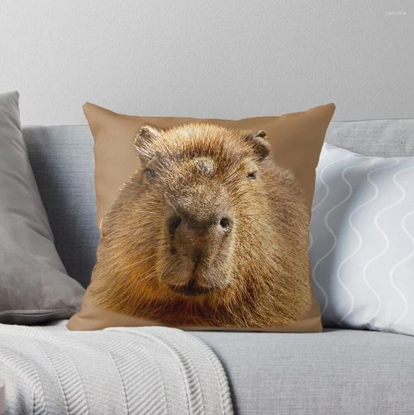 Oreiller capybara somnolent au soleil jet couvre rectangulaire décoratif s pour le salon
