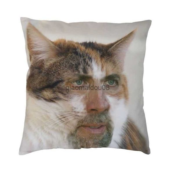 Tai-oreiller Nicholas Cage Cat MEME MEME SOFFICATION COUPAUX COPURS HOME DÉCORATION HOME PARTY LITRE CAR CORD HKD230817