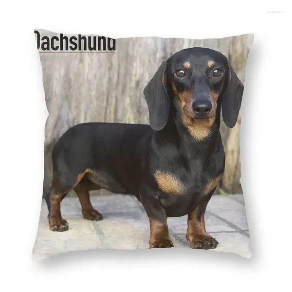 Oreiller mignon teckel dink toan lance décoration décoration saucisse wiener badger chiens couvrez 40x40cm couverture oreillers pour le salon