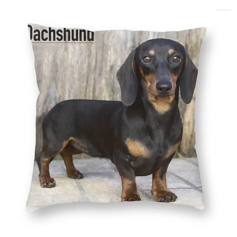 Almohada linda dachshund perros tiros decoración de la caja salchicha wiener badger perros cubierta 40x40 cm cubierta de almohada para sala de estar