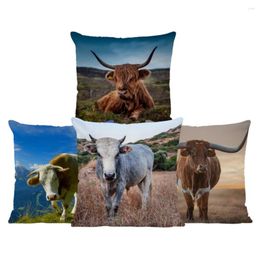 Kussenboerderij Highland vee zuivel koe print dekking polyester covers 45 vierkante kussens kussens kussens sofa home decor kussensloop