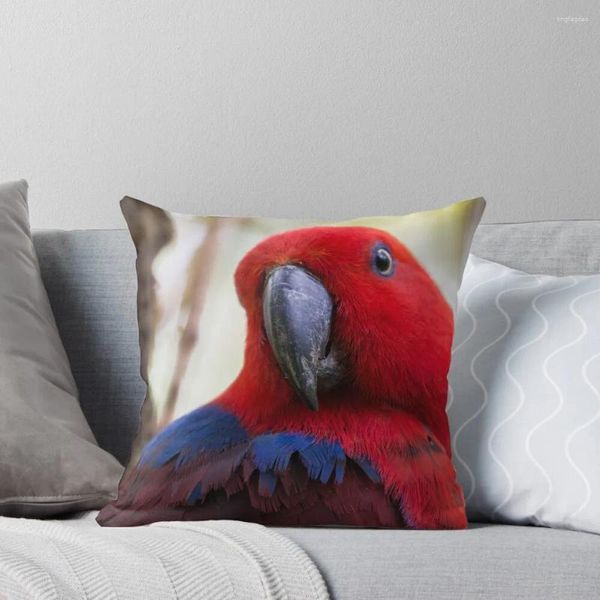 Oreiller femelle rouge Eclectus perroquet jeter fournitures de noël personnalisées couverture en marbre