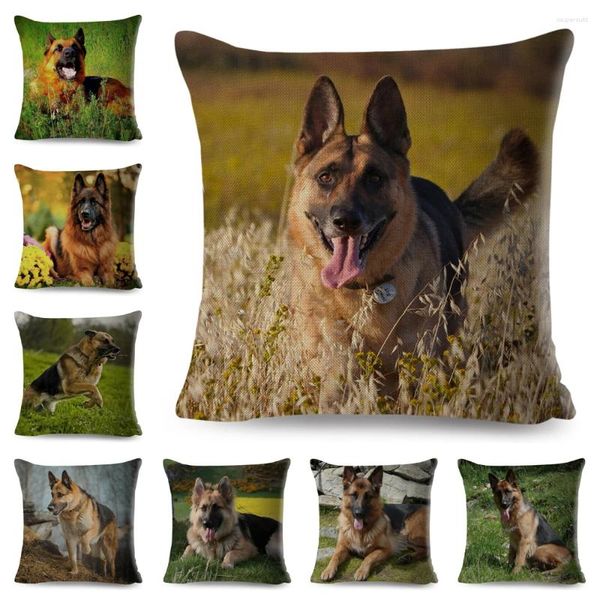 Pillower Couvercle en polyester pour chiens de berger allemand pour canapé Chidren Room Decor Pet Animal Arereau de compagnie 45 45cm