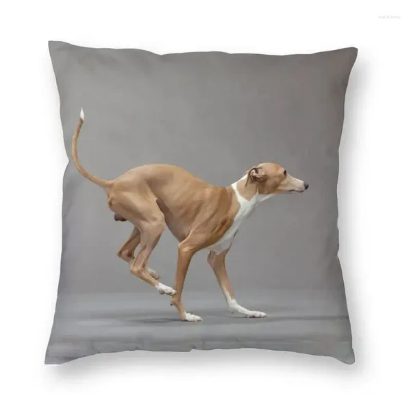 Oreiller Greyhound Swighthound Couverture de chiens à la maison Décorative Animal Modèle Case de cas pour la voiture Prince double face