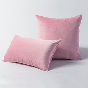 Kussen van hoge kwaliteit fluweelomslag 30x50 45x45 50x50cm kast voor woonkamer slaapkamer roze beige grijs decor bank