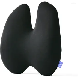 Pillow Lab Lumbar Extra Dense - Back Back Back Support de l'entreprise ergonomique bifurquée pour le soulagement de la douleur inférieure
