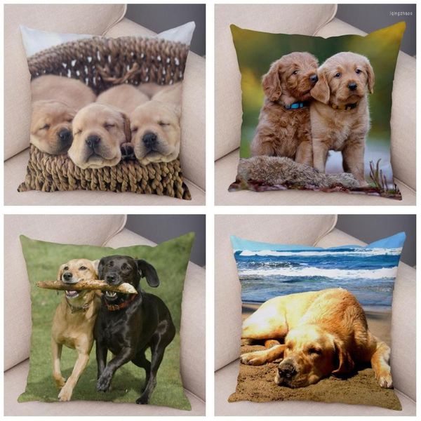 Housse de coussin imprimée chien Labrador, taie d'oreiller courte Super douce en peluche, décoration de maison, voiture, maison, Animal de compagnie, 45 45cm