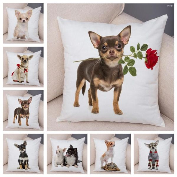 Oreiller en peluche douce pour animaux de compagnie, joli petit chien, Chihuahua, décoration pour voiture, canapé, maison, 45x45cm