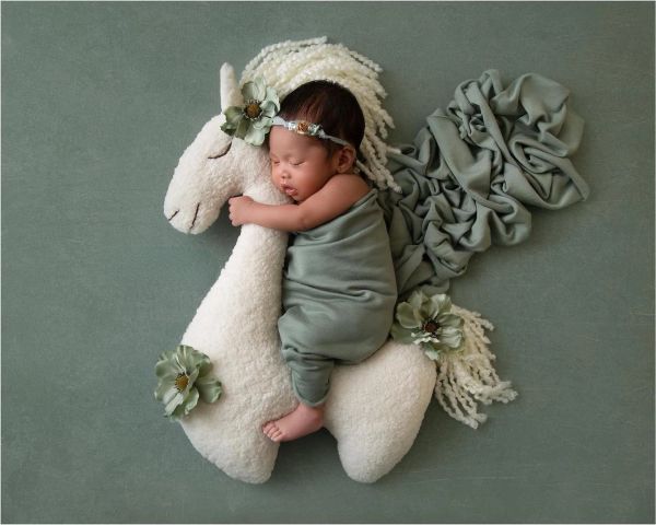 Oreiller nouveau-né de photographie bébé
