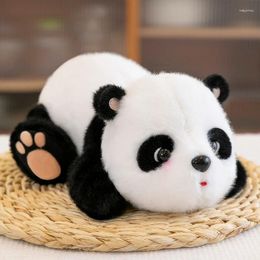 Oreiller panda peluche poupée trésor trésor teddy ours cadeau d'anniversaire pour enfants petit