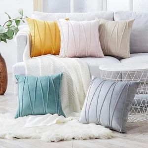 Oreiller des oreillers décoratifs en velours doux