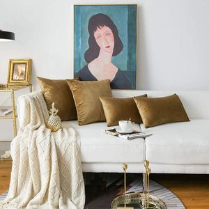 Kussenfluweel deksel bruin zachte 45 kast voor woonkamer sofa decor Noordse thuisworp