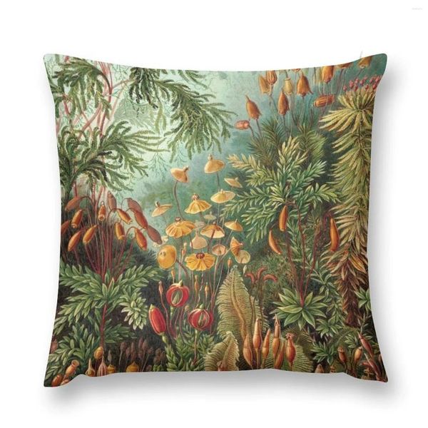 Almohada plantas vintage de naturaleza decorativa ilustración ilustración de obras de arte tirar cubierta de lujo bordado