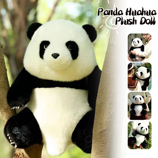 ORLISSEMENTS 30/40 / 50CM CUPÉ BÉBÉ BIG GIANT GIANT PANDA HUAHUA PLUSE PLUPS ANIMAL PANDA PANDA CARIÈRE KAWAII PANDA CUSHION GIRLES