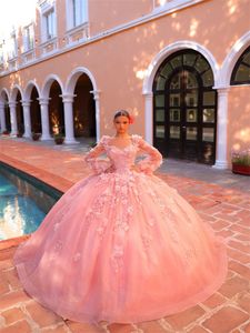 Rose 3D fleur appliques robes col carré à manches longues princesse douce 15 robe paillettes robe De bal robes De Quinceanera 326 326