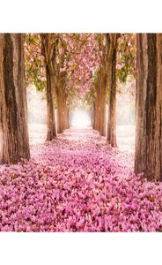 Fleurs roses fleurs de cerisier arrière-plans pour studio pétales couverts arbres de route enfants enfants en plein air pittoresque floral pographie retour3404540
