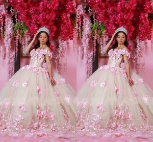 Roze Licht Champagne Quinceanera Jurken D Bloemen Applique Handgemaakte Bloemen Kralen Bandjes Tule Op maat gemaakte Prom Sweet Birthday Party Gown