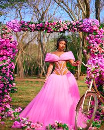 Vestido De quinceañera De sirena De manga larga rosa, retrato con escote redondo, apliques De ilusión, Vestidos De flores con hombros descubiertos, Vestidos De Fiesta 326