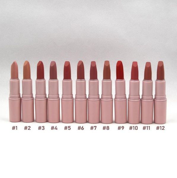 Rouge à lèvres rose mat, teintes longue durée, facile à porter, naturel, 12 couleurs, maquillage, vente en gros, Stick3223253