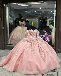 Robe de bal chérie rose robes quinceanera pour filles appliques 3d fleur de fête de fête de fête avec une manche complète lacet en arrière