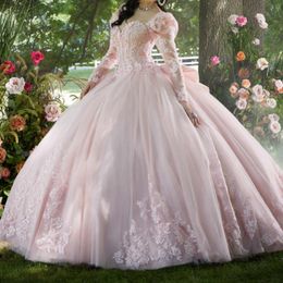 Розовая возлюбленная платье Quinceanera с длинными рукавами Applique кружевные бусины Sweep Train Sweet 15 Party Dress Plate Goots de Soiree 15