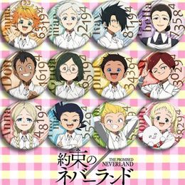 Broches Broches 12 pièces dessin animé japonais le pays imaginaire promis Badge Cosplay Yakusoku No Emma broche sacs à dos bouton cadeau 285L