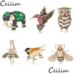 Broches Broches Mignon Hibou Oiseau Abeille Pour Femmes Formes Animales Cristal Vert Noir Broche Broches Badges Vêtements Sacs Femme Bijoux D Dhgarden Dhzrg