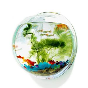 Pinsjar acrylique bol à poissons tenture murale réservoir d'aquarium fournitures pour animaux de compagnie aquatiques produits montage pour poisson Betta 240318