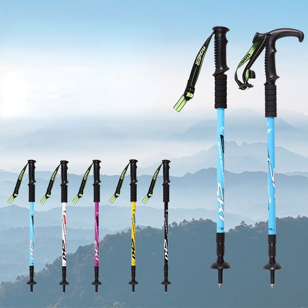 Pioneer 2pcs Nordic Walking Trekking Polonais de randonnée de randonnée ALPENSTOCK ANTISHOC