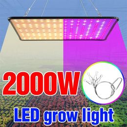 Plant Grow Light 2000W Fleur Phyto Growth Panel Lampe LED Full Spectrum Seedling Fito Eu US UK Plug Veg 240 Lights302y