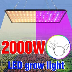 Plant Grow Light 2000W Fleur Phyto Growth Panel Lampe LED Full Spectrum Seedling Fito Eu US UK Plug Veg 240 Lights348U