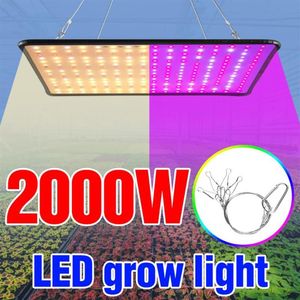 Plant Grow Light 2000W Fleur Phyto Growth Panel Lampe LED Full Spectrum Seedling Fito Eu US UK Plug Veg 240 Lights2685