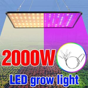 Plant Grow Light 2000W Fleur Phyto Growth Panel Lampe LED Full Spectrum Seedling Fito Eu US UK Plug Veg 240 Lights244C