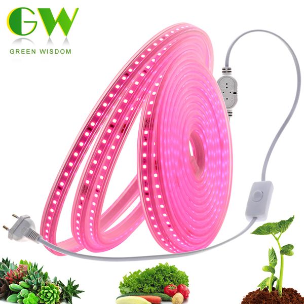 Luces de cultivo de plantas 2835 Chip Fuera LED de espectro completo impermeable para plantas Flower 220V 120Ledsm Tienda Phytolamp Rium Y200917