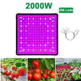 Plant Licht Led Grow Lamp Volledige Spectrum Phyto Lamp 1000W 2000W Led Fitolamp Voor Indoor Bloemen Zaailingen groeien Doos
