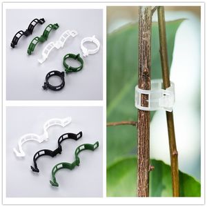 Clips de soporte para plantas Clips de soporte para jardín Clips para plantas para soporte, vid de uva, vid de tomate, vegetales Clips de enrejado para plantas para crecer en posición vertical Hace que las plantas sean más saludables