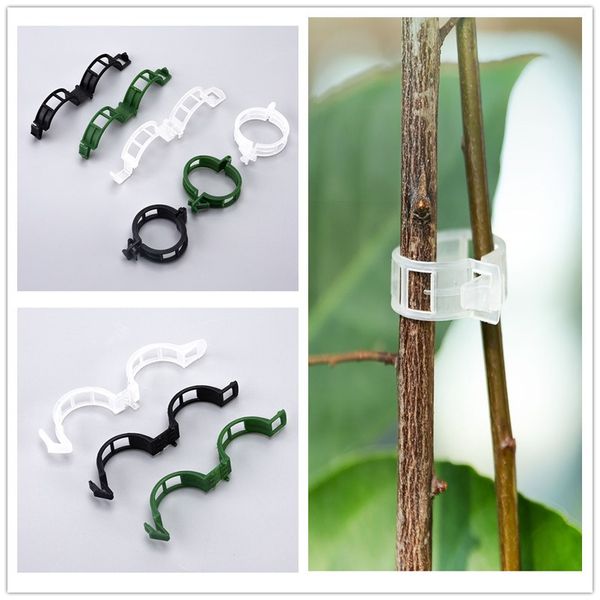 Clips de support pour plantes Clips de support pour jardin