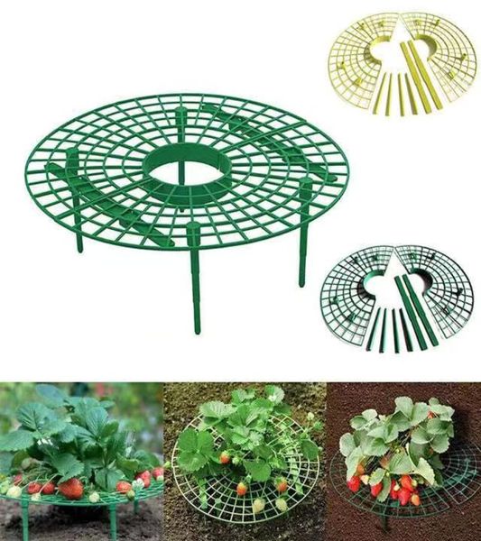 Planteurs de soutien à la plante Plante de fraise Rack Fruit Soutien des plantes grimpant les accessoires de vigne du pilier de fleur Agriculte6194248