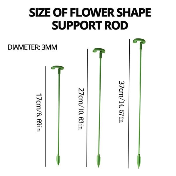 Plant Support Stakes Garden Single STEM Soutien de la fleur de soutien AMARYLLIS