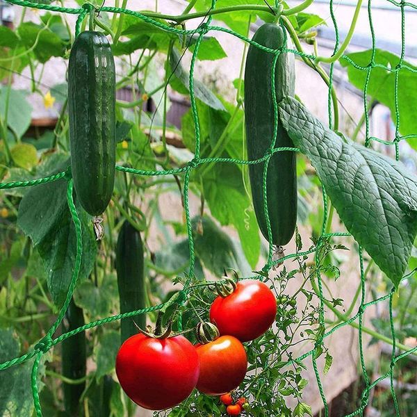 Planta enrejado neting guisante jardín verde red enrejado red para frutas frutas plantas trepadoras 0.9/1.8m*1.8m K2B0