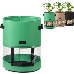 Macetas 1 Uds bolsa para plantar patatas con diseño transparente aislamiento de temperatura eficaz maceta vegetal herramienta de cultivo de jardín