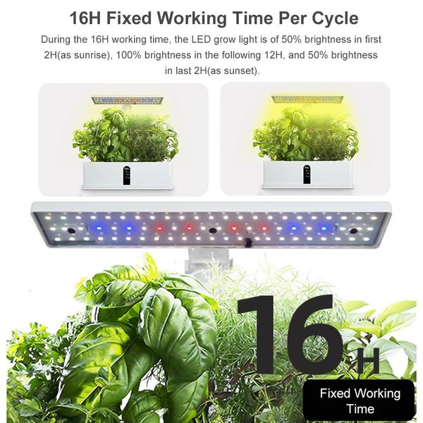 Planters 1W Système de culture hydroponique automatique intelligent Culture sans sol de petits pots de fleurs avec LED élèvent la lumière pour la cuisine à domicile